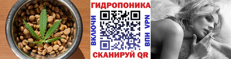 mega сайт  Сосногорск  Еда ТГК марихуана  сколько стоит 