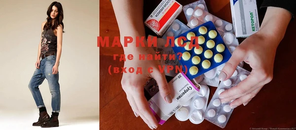 прущие грибы Верея