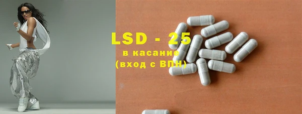 прущие грибы Верея