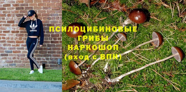 apvp Бронницы