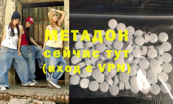 прущие грибы Верея