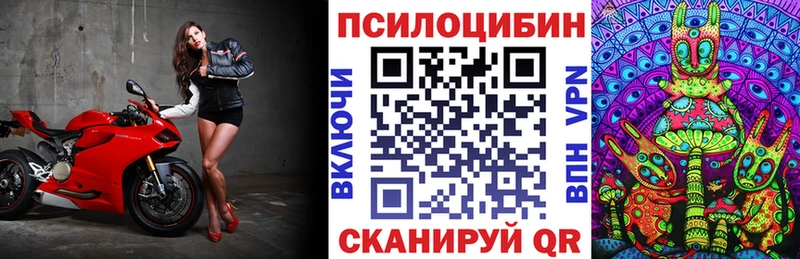 купить закладку  Сосногорск  кракен рабочий сайт  Галлюциногенные грибы Psilocybine cubensis 